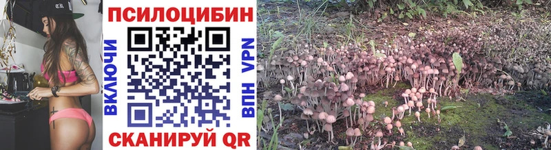 купить   мега сайт  Псилоцибиновые грибы Magic Shrooms  Бодайбо 
